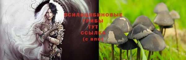 марихуана Верхний Тагил
