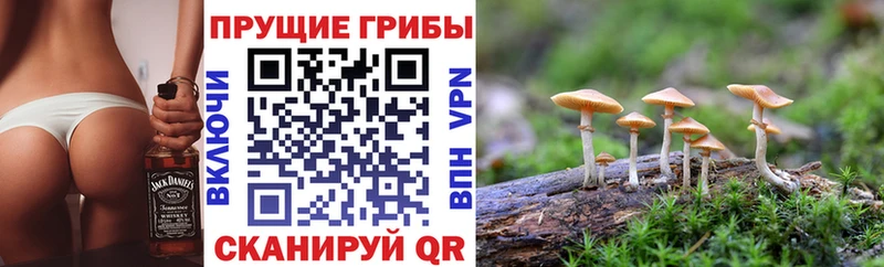 Галлюциногенные грибы мухоморы  MEGA ONION  darknet какой сайт  Староминская 